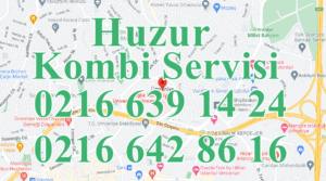 Huzur Kombi Servisi