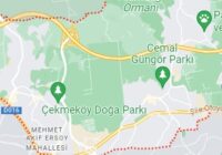 Çekmeköy Falke Servisi