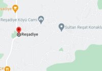 Reşadiye Falke Servisi